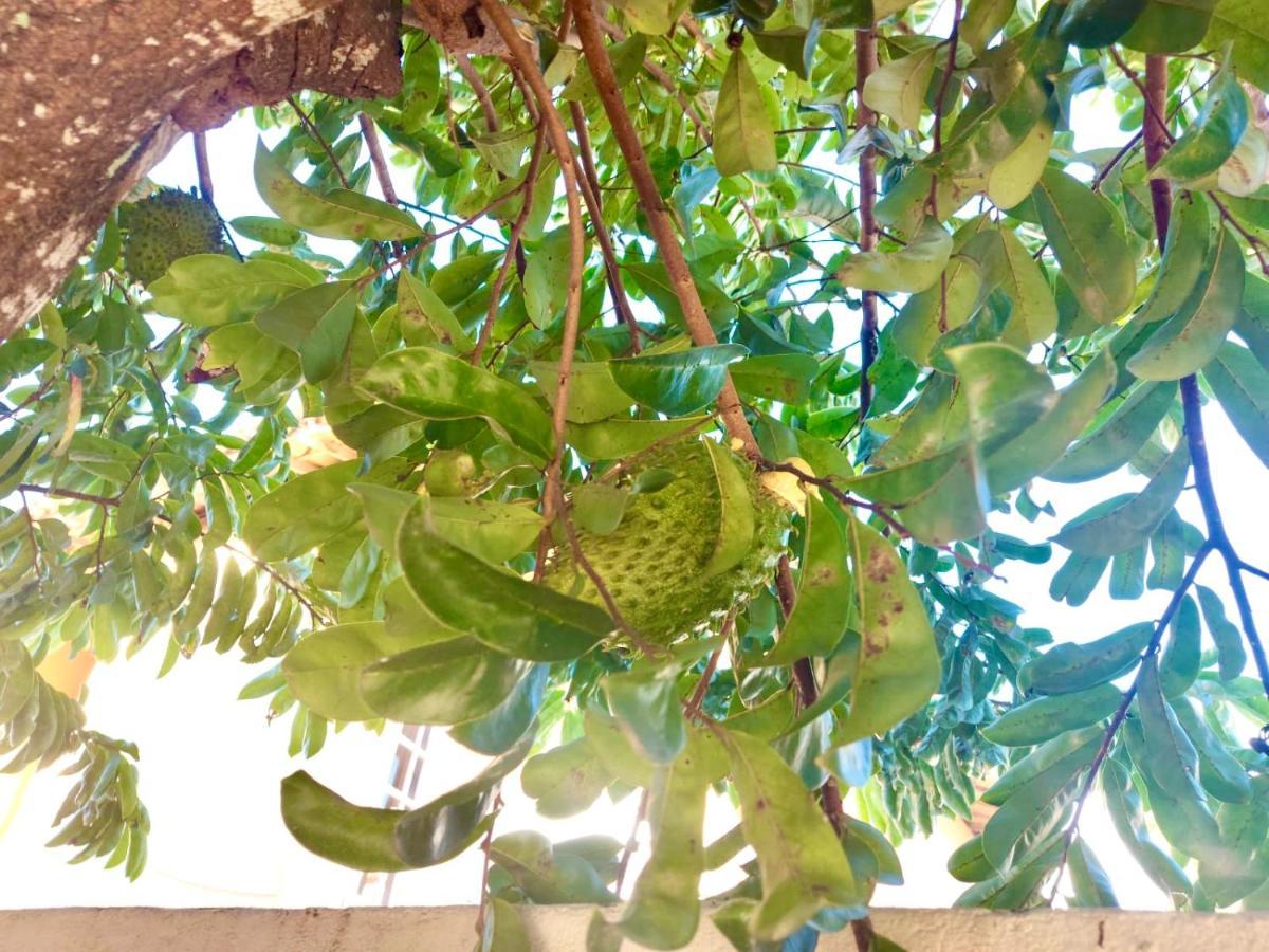 Branca Tropical Brasil Residencial- Taperapuan Villa Porto Seguro Eksteriør bilde