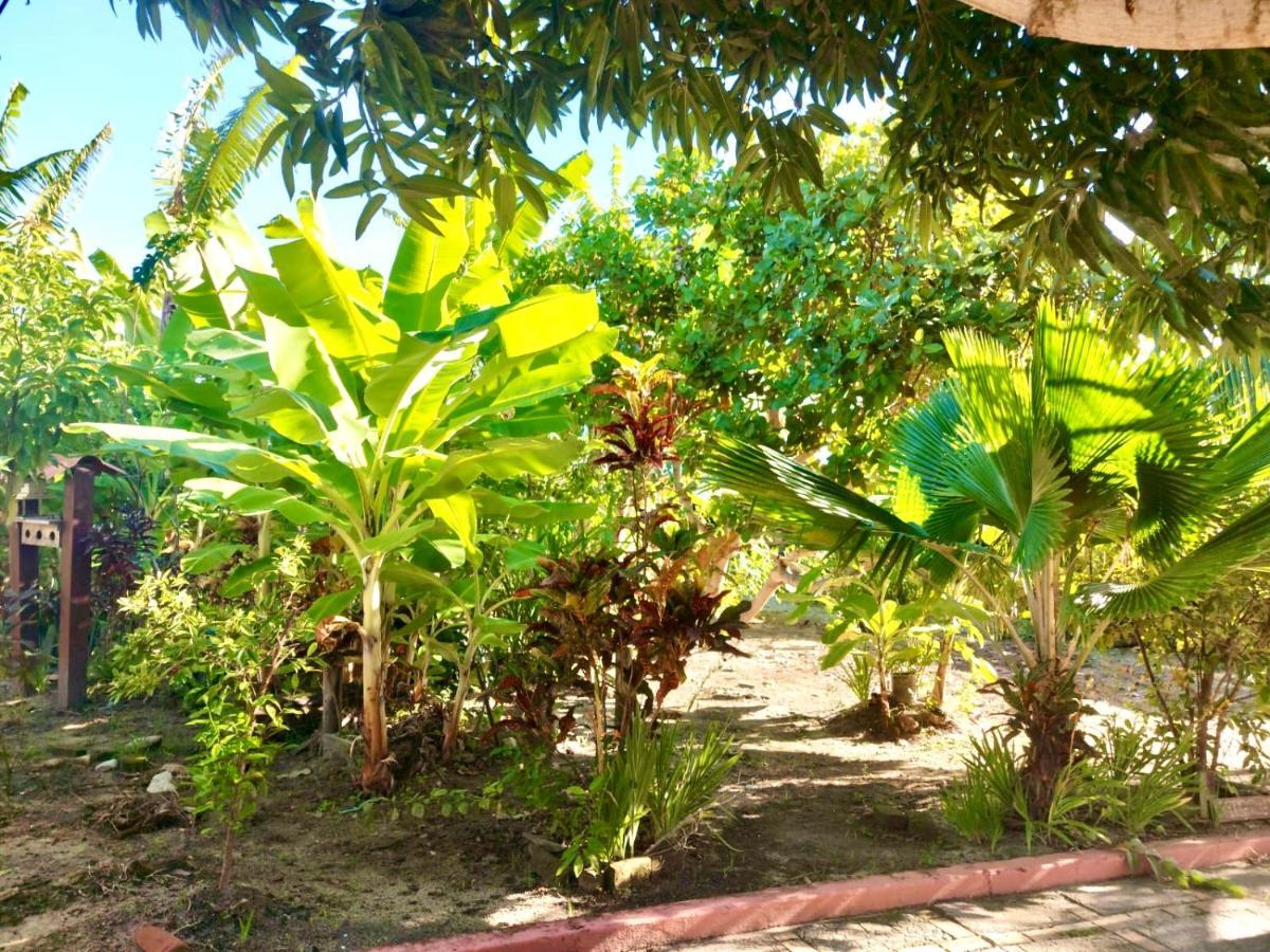 Branca Tropical Brasil Residencial- Taperapuan Villa Porto Seguro Eksteriør bilde
